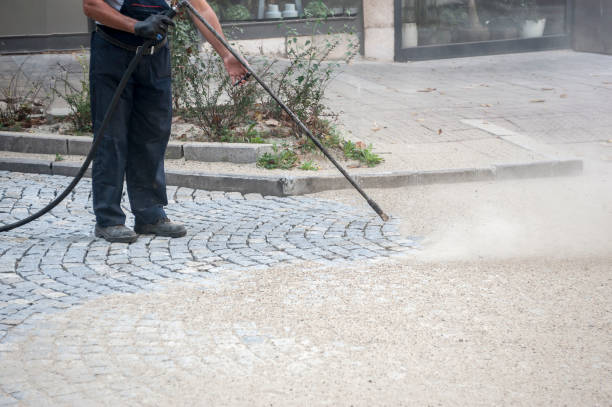 Best Driveway Pressure Washing  in Westmont, CA